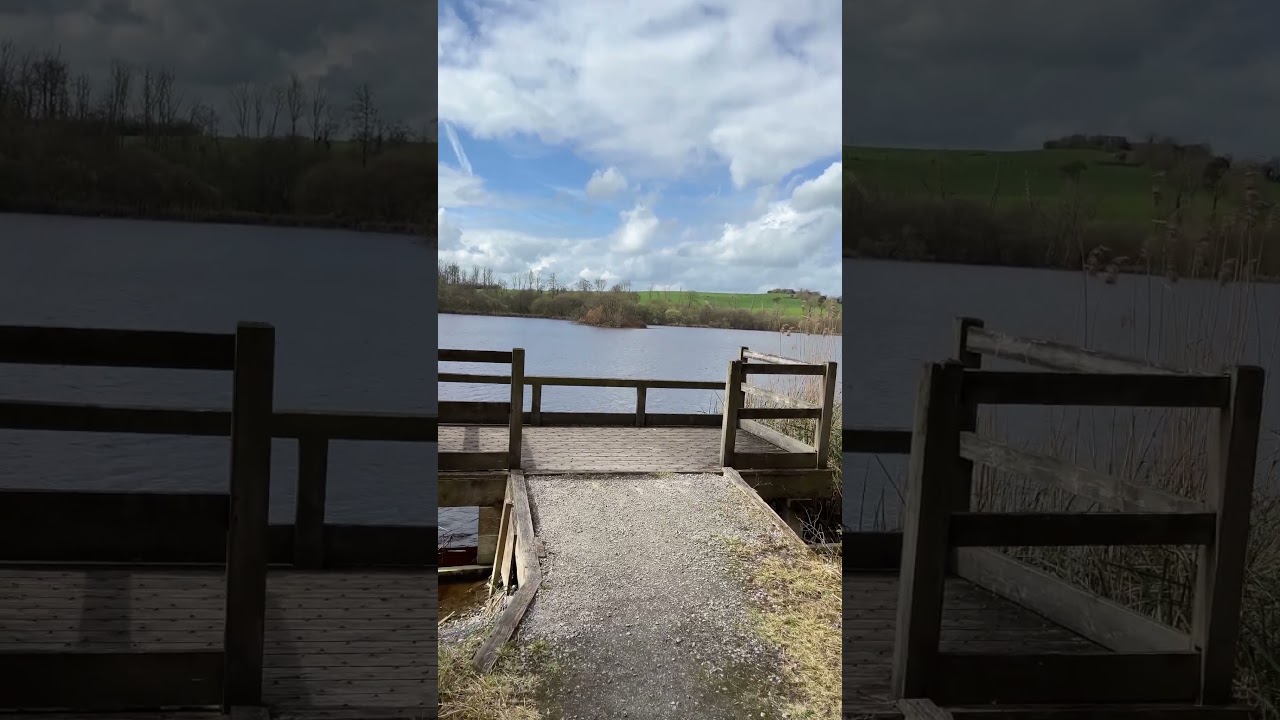 This is how peace looks like. #lake #fishing #carp #nature IrishNature