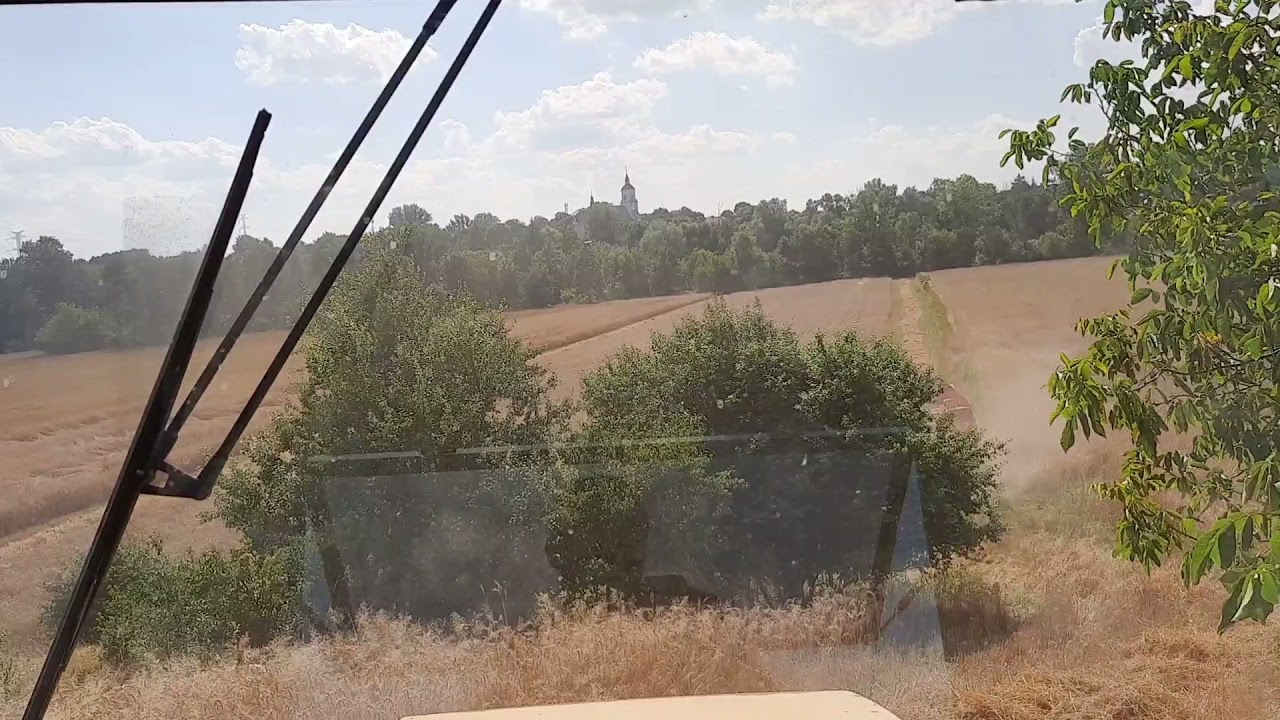 Żniwa 2021 akcja Pszenżyto Bizon Gigant Z083 & Kirowiec K700