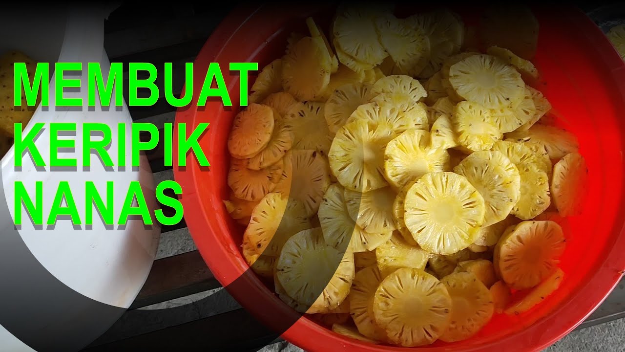 Jual Mesin Vacuum Frying | Alat Pembuat Keripik Buah | Keripik Nanas