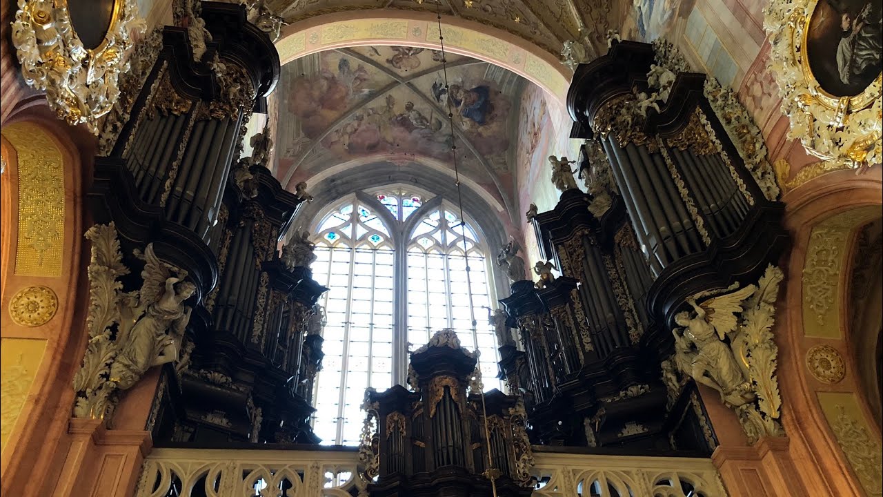 Toccata Widora na organach katedry  w Świdnicy #michał_basista #Widor #Katedra w Świdnicy #organy
