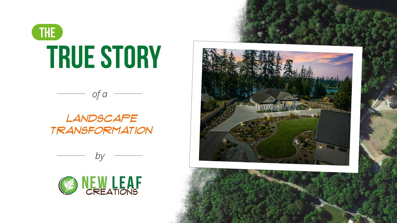 The True Story of A Landscape Transformation -- Testimonial for New Leaf Creations