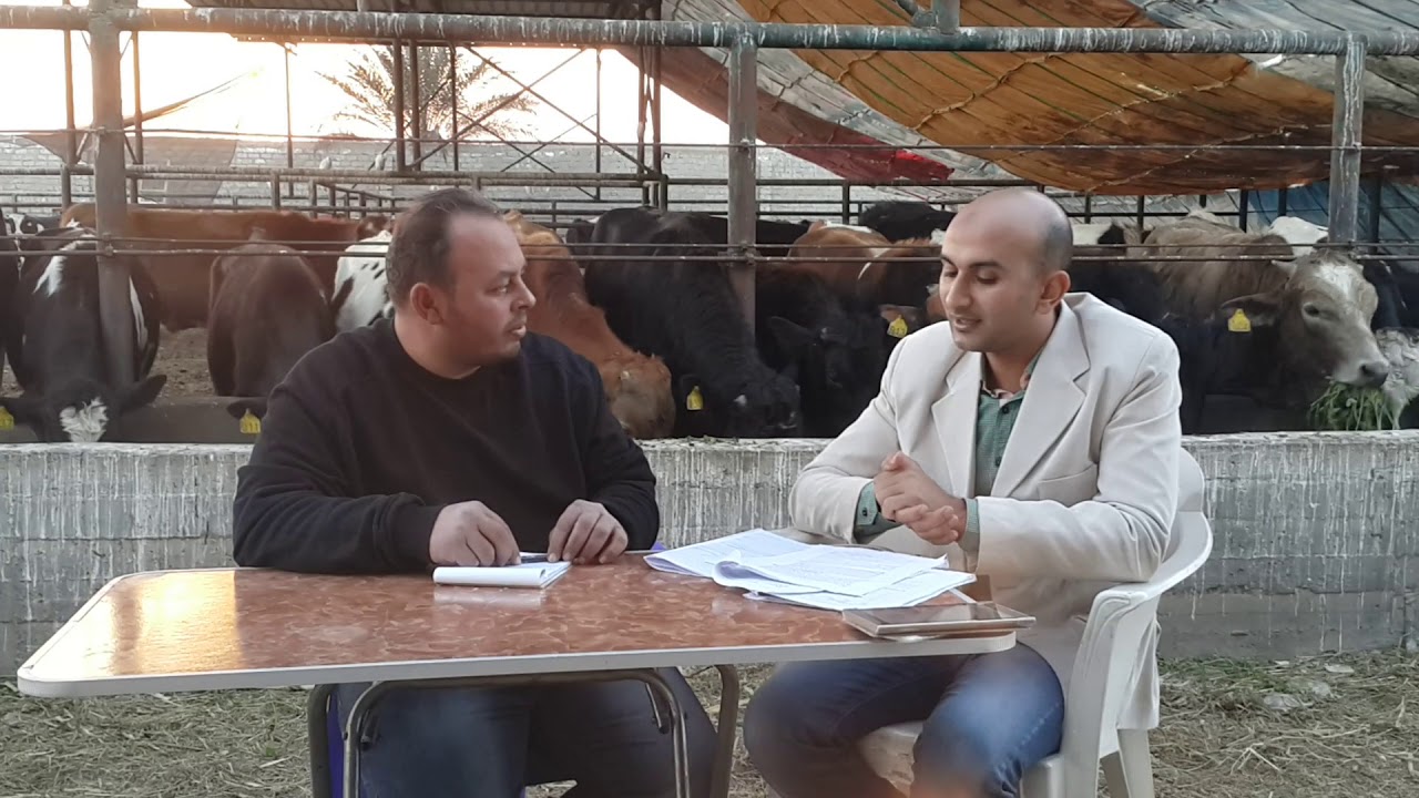 معا لتنمية  الثروة  الحيوانية  ( الحلقة  6 مع دكتور سعد فى التغذية)