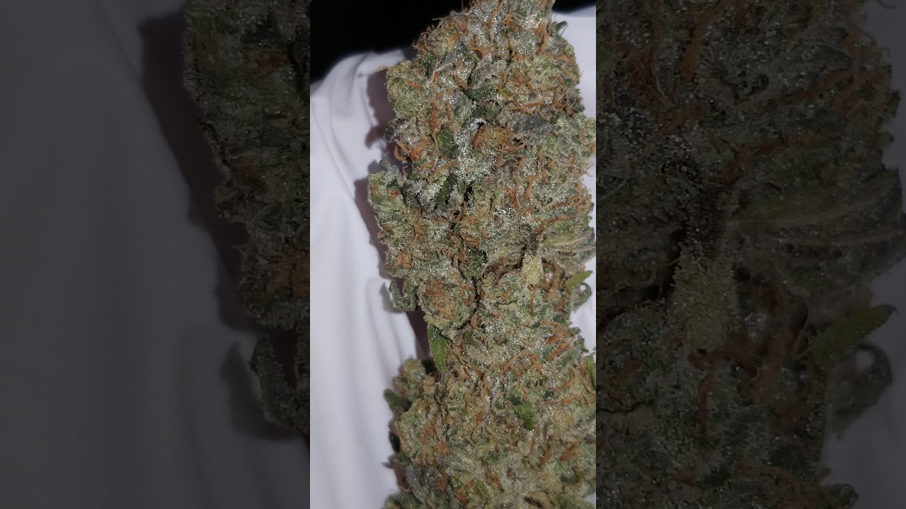 Strain Review #1: Funky Charms (Grease Monkey x Rainbowchip) by Exoticgenetix