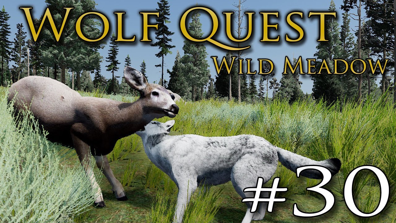 A Hungry BEAR Among the Wolf Pups?! 🐺 WOLF QUEST: WILD MEADOW • #30