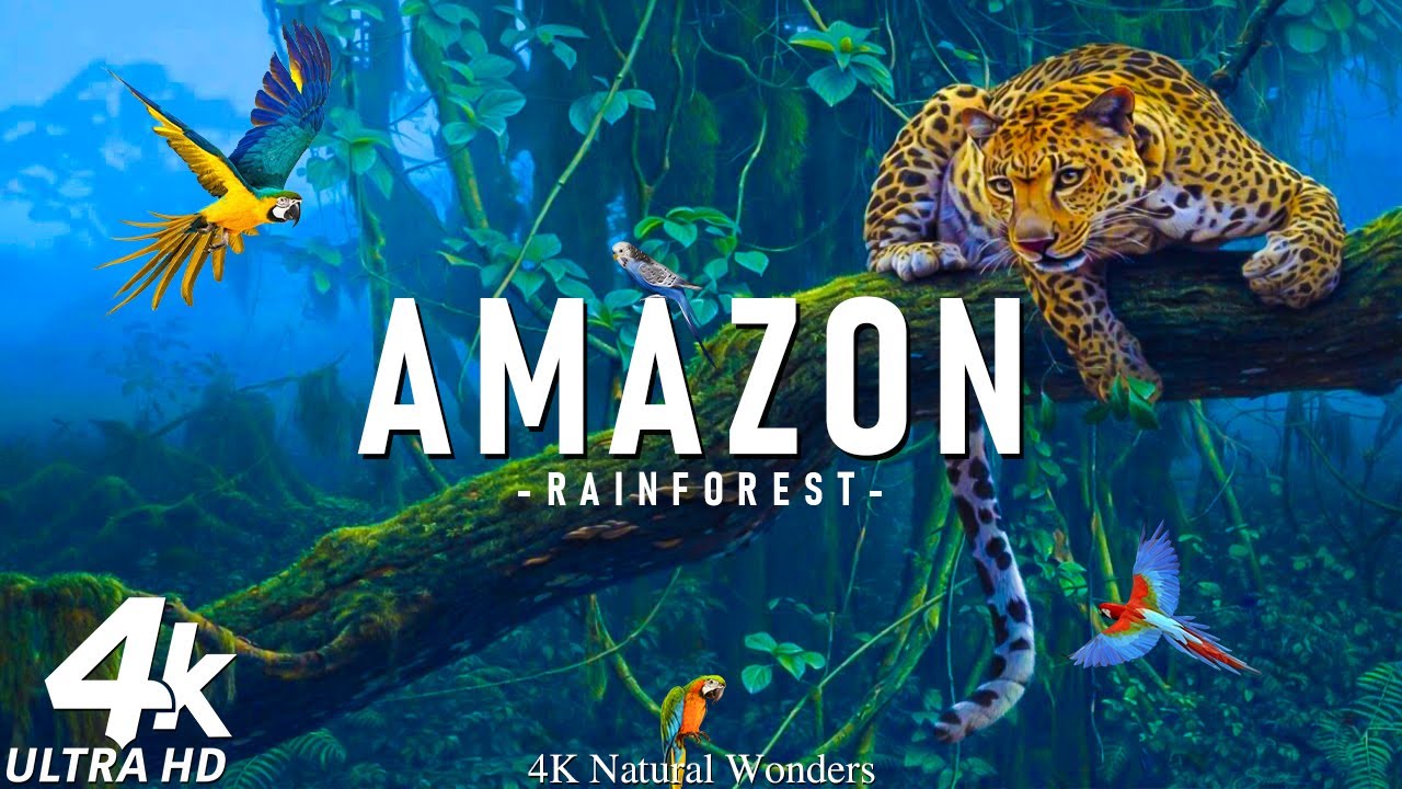 FLYING OVER AMAZON 4K UHD - Relaxing Music Along With Beautiful Nature Videos - 4K Video HD