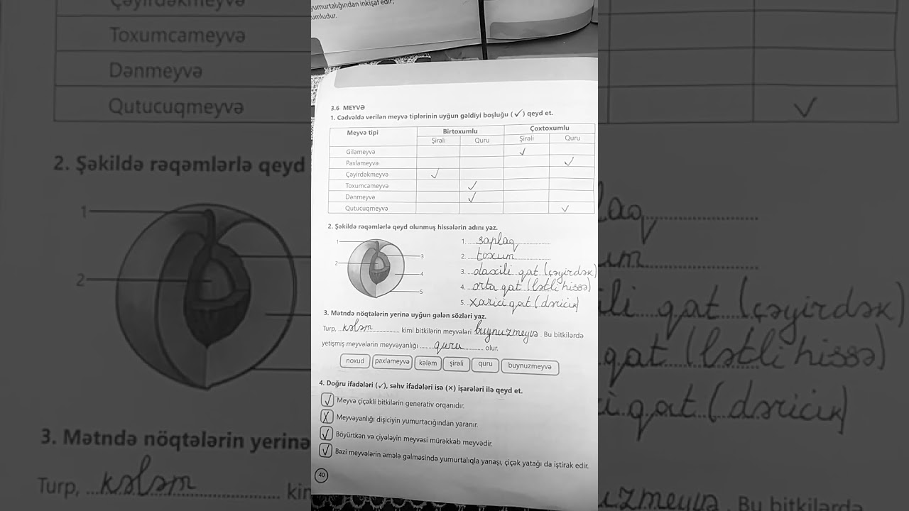 7 cı sinif biologiya iş dəftəri səhifə 40