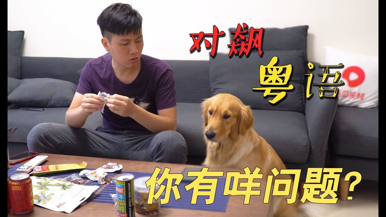 【国庆出去浪】主人与金毛恶搞&ldquo;你有咩问题&rdquo;，金毛这演技绝了！