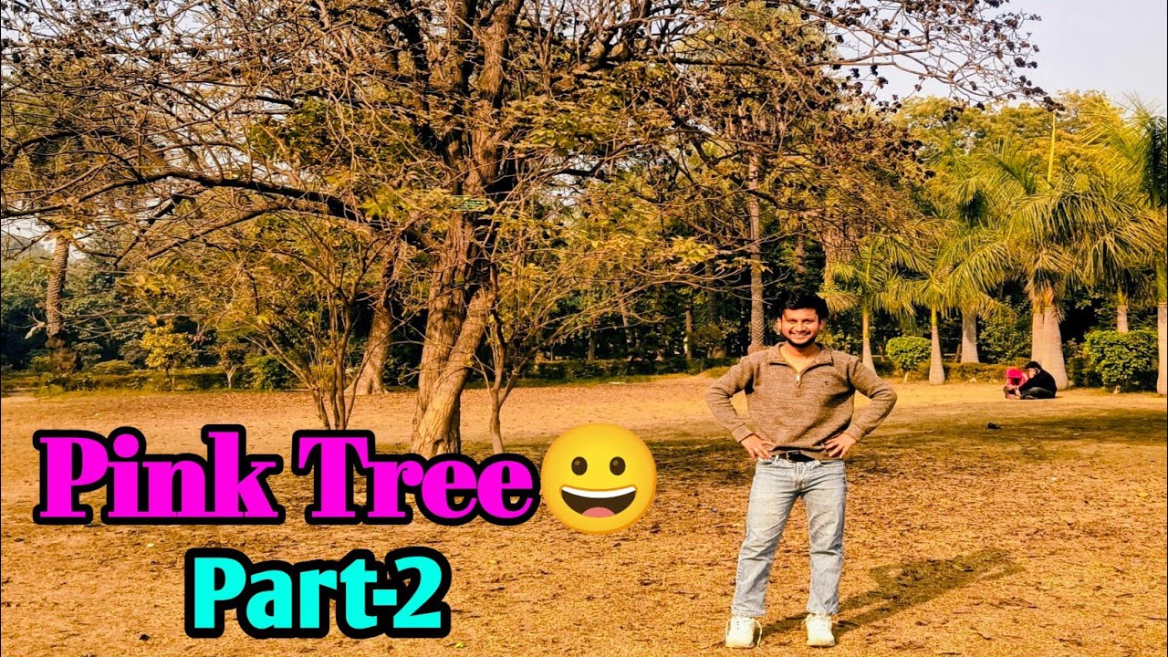 Mera Pink Tree Kharab Ho Gaya 😭 | Sad Vlog #trending #vlog #youtube #funny #dailyvlog #comedy #viral