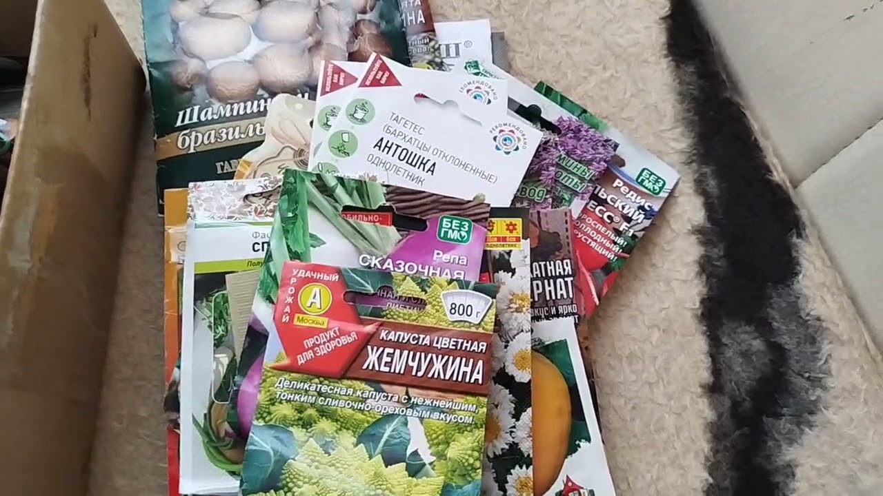 Семена в нашем дачном домике. 