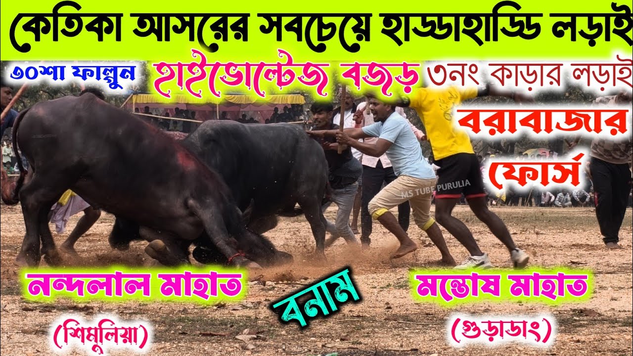 কেতিকা আসরের সবচেয়ে হাড্ডাহাড্ডি লড়াই 💢 নন্দলাল মাহাত(শিমুলিয়া) বনাম মন্তোষ মাহাত (গুড়াডাং)