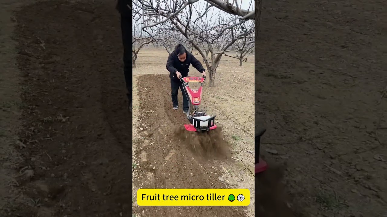 Fruit tree micro tiller 🌳⚙️