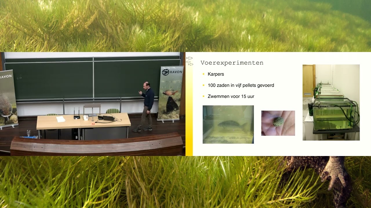 Zaadverspreiding door vissen - Lezing Casper van Leeuwen | RAVON-dag 2025