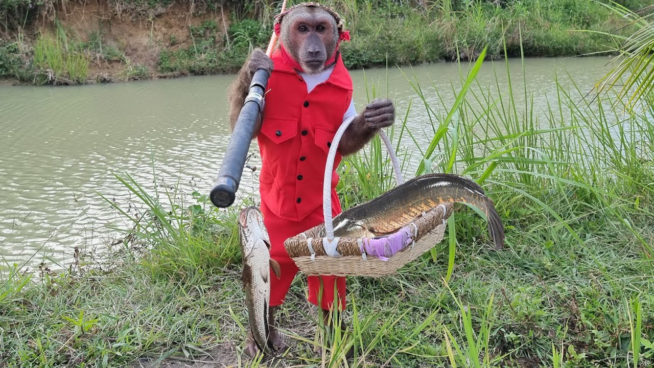 Abu enlist fishing for mom to cook lunch