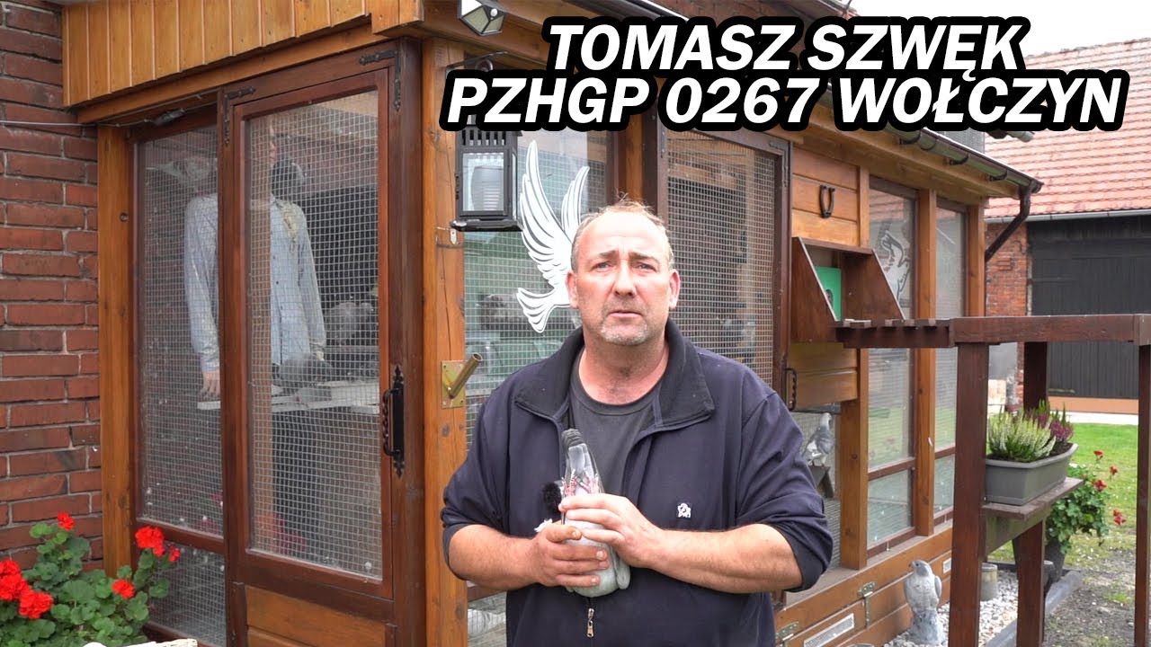 Tomasz Szwęk - 0267 Wołczyn | Producent wyposażenia gołębników! Udany start sezonu gołębi młodych!