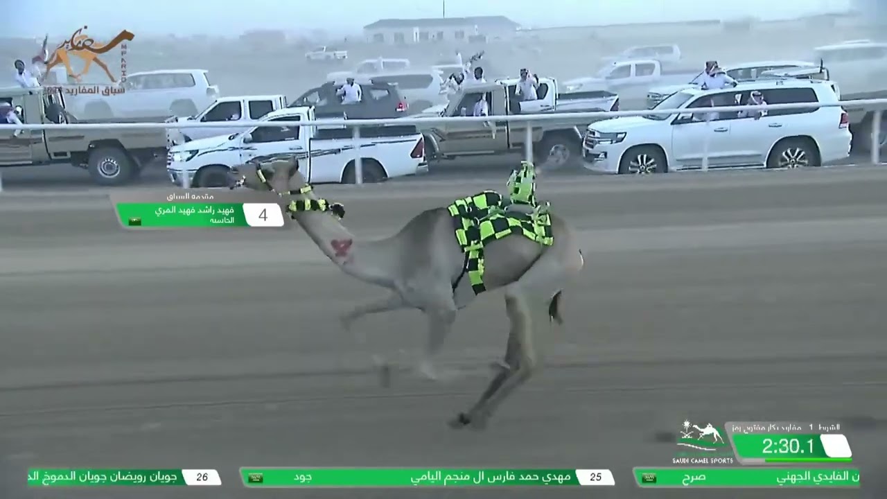 ش1 الحاتميه لـ فهيد راشد فهيد المري (السباق الختامي لمهرجان المفاريد 10-7-2024) كأس المفاريد 2:54:99
