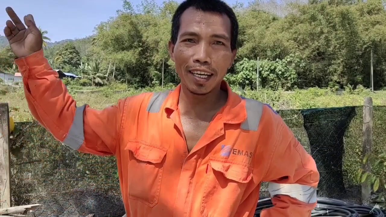 65) Petikan Cili Kampung ke 880kg.. Kancil Towing Mesin Bajak sejauh 1.5km😁
