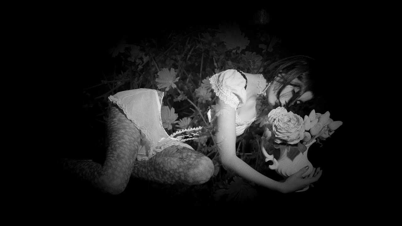The Flower Who Became Human
