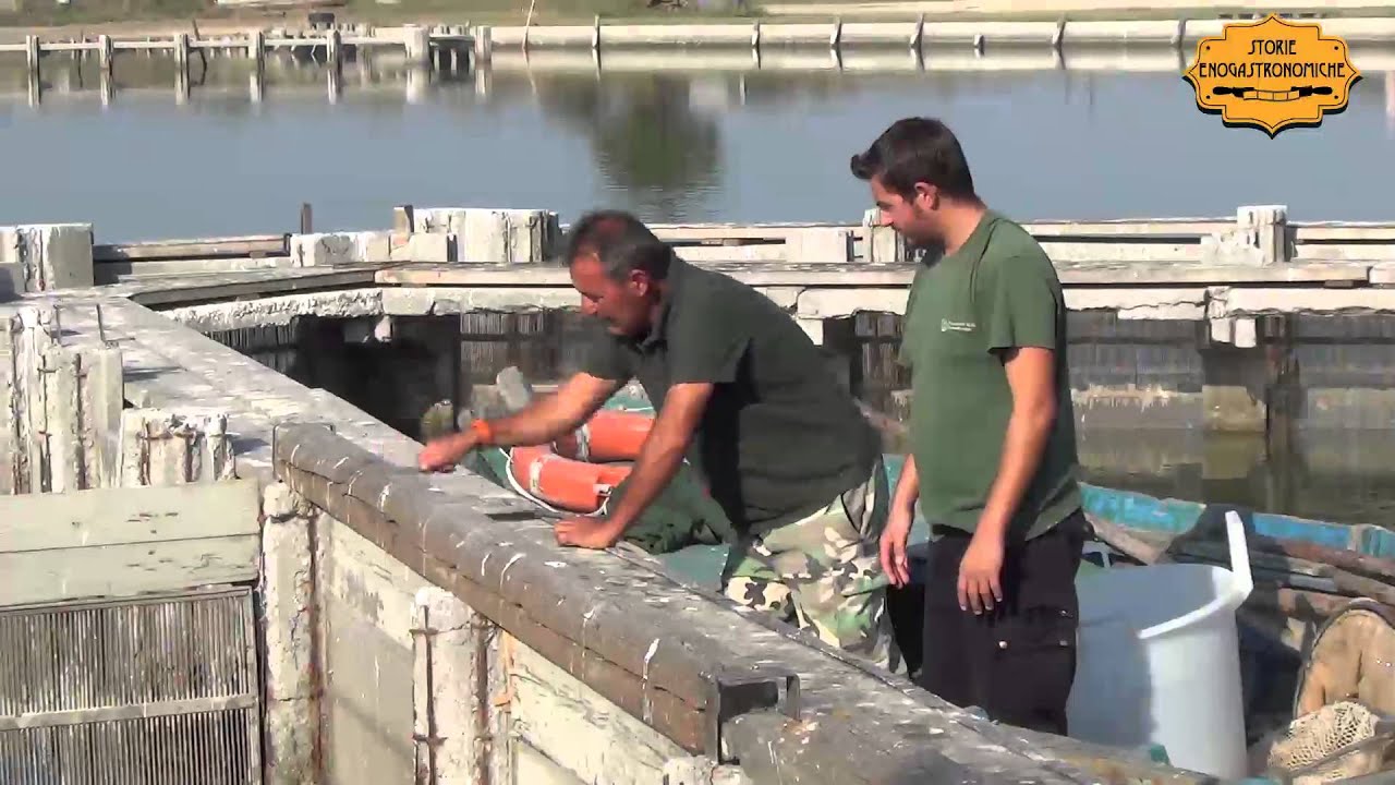La Pesca nella Valle di Comacchio
