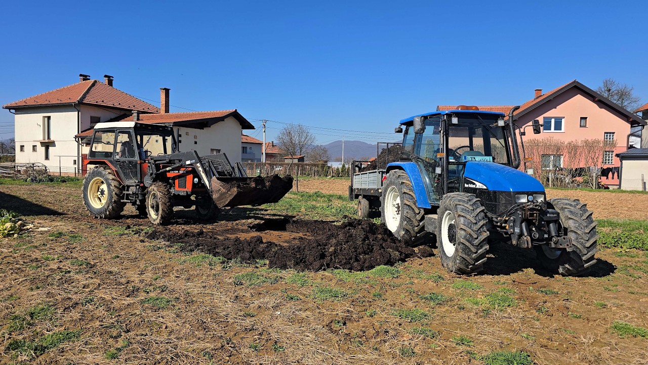 Załadunek i rozrzucanie obornika ciągnikami Zetor 6245 i New Holland TL100