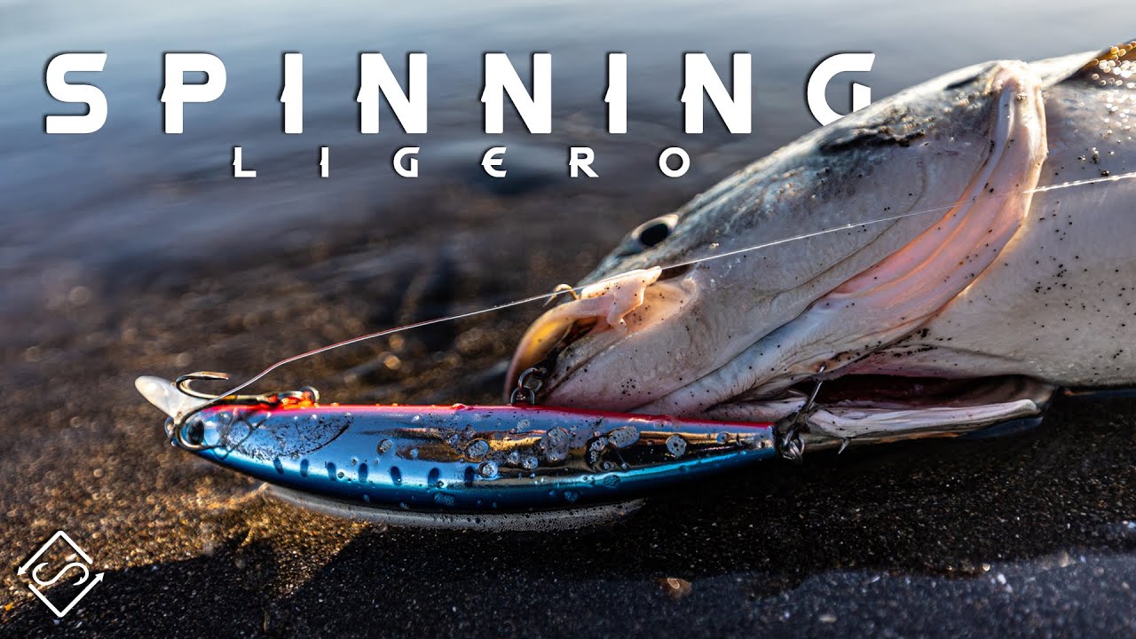 SPINNING ligero en PLAYA - pesca de corvinas