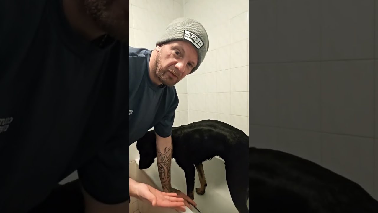 shower time for bruno