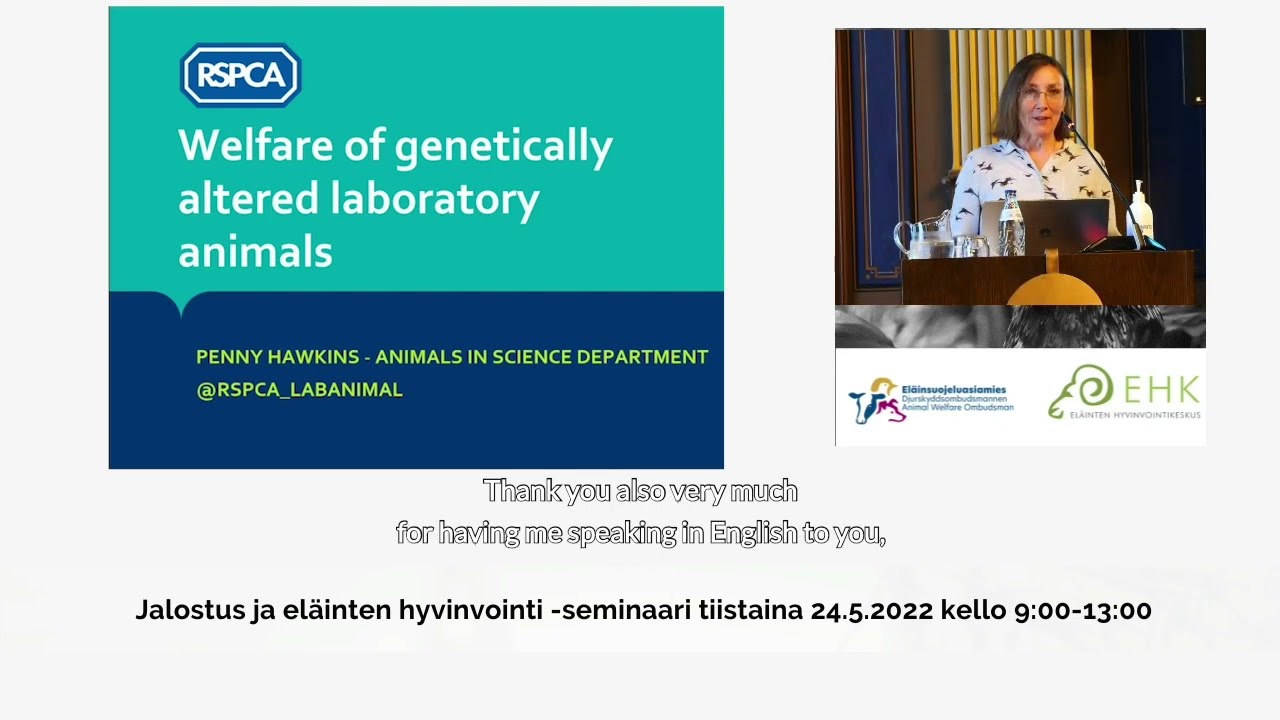 Welfare of genetically altered laboratory animals,Hawkins, Head of the RSPCA Animals in Science Team