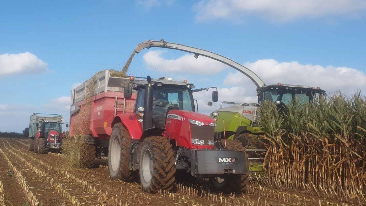 🇨🇵Ensilage de maïs 2021🌽/Claas jaguar 970 en 10 rangs😍🚜