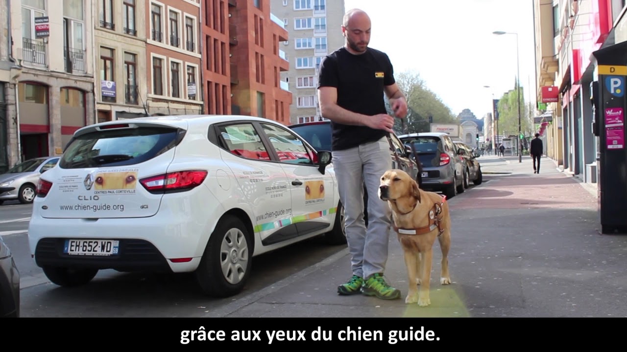 Être moniteur de chiens-guides d'aveugles - Le portrait de Rémi