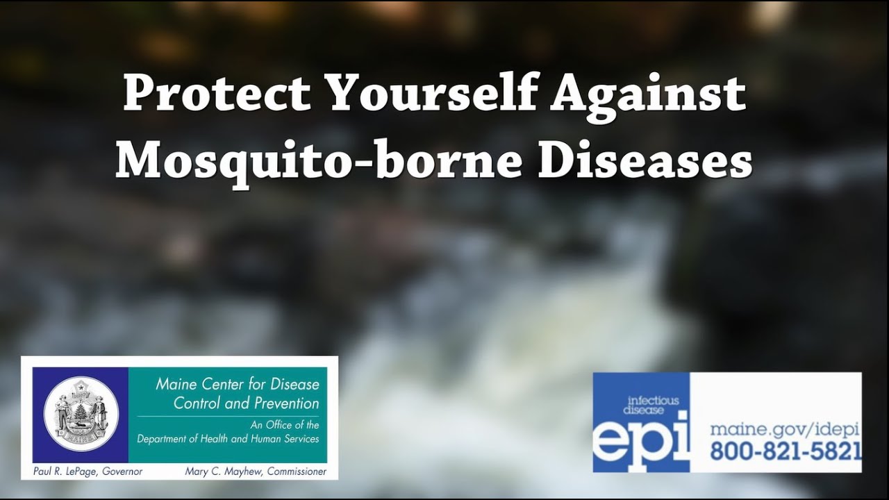 Protect Yourself From Mosquito-borne Diseases