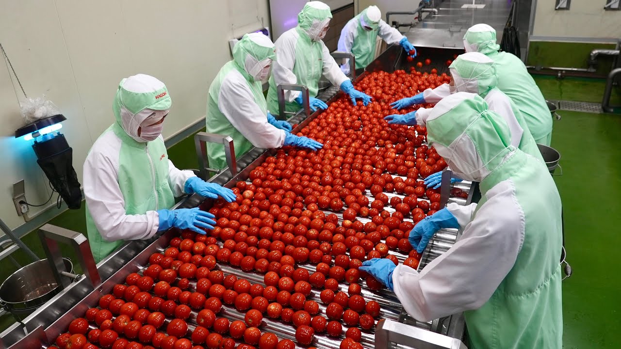 Как Япония массово производит томатный сок со вкусом свежих помидоров