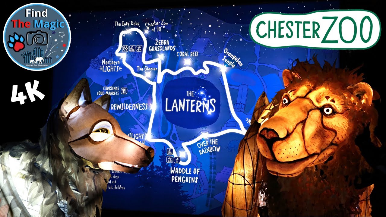 Chester Zoo Lanterns | Full Light Trail | Animal Themed Lights