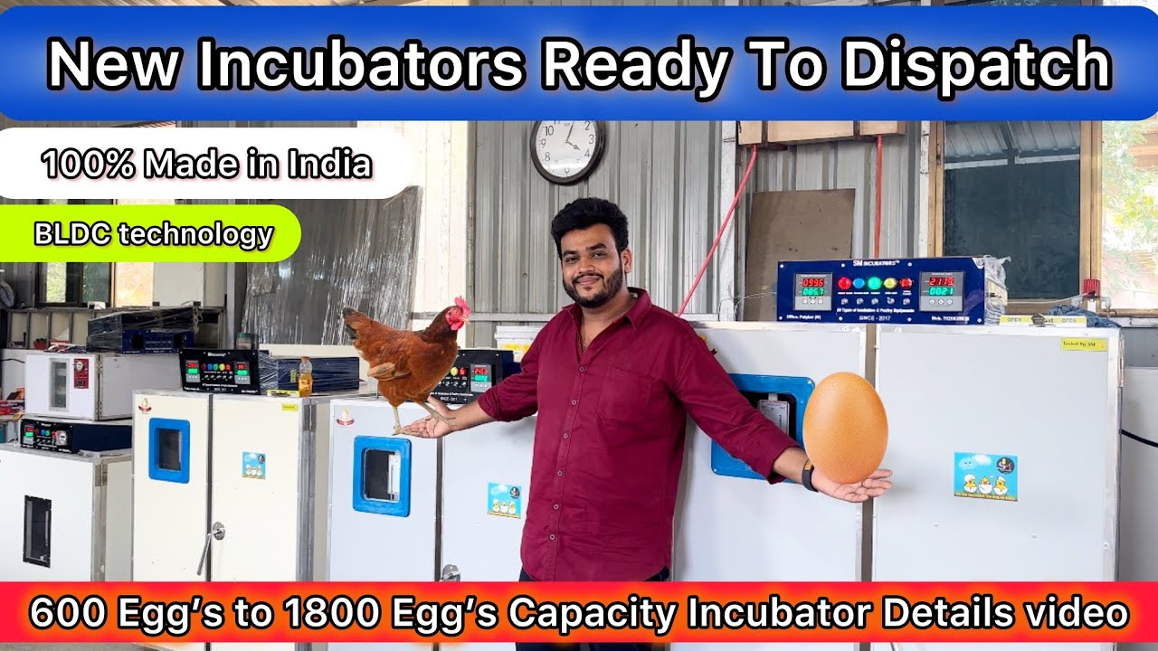 Best Incubator For Chicken Eggs With 80% Efficiency Chicken Hatchery poultry Eggs Incubator 
