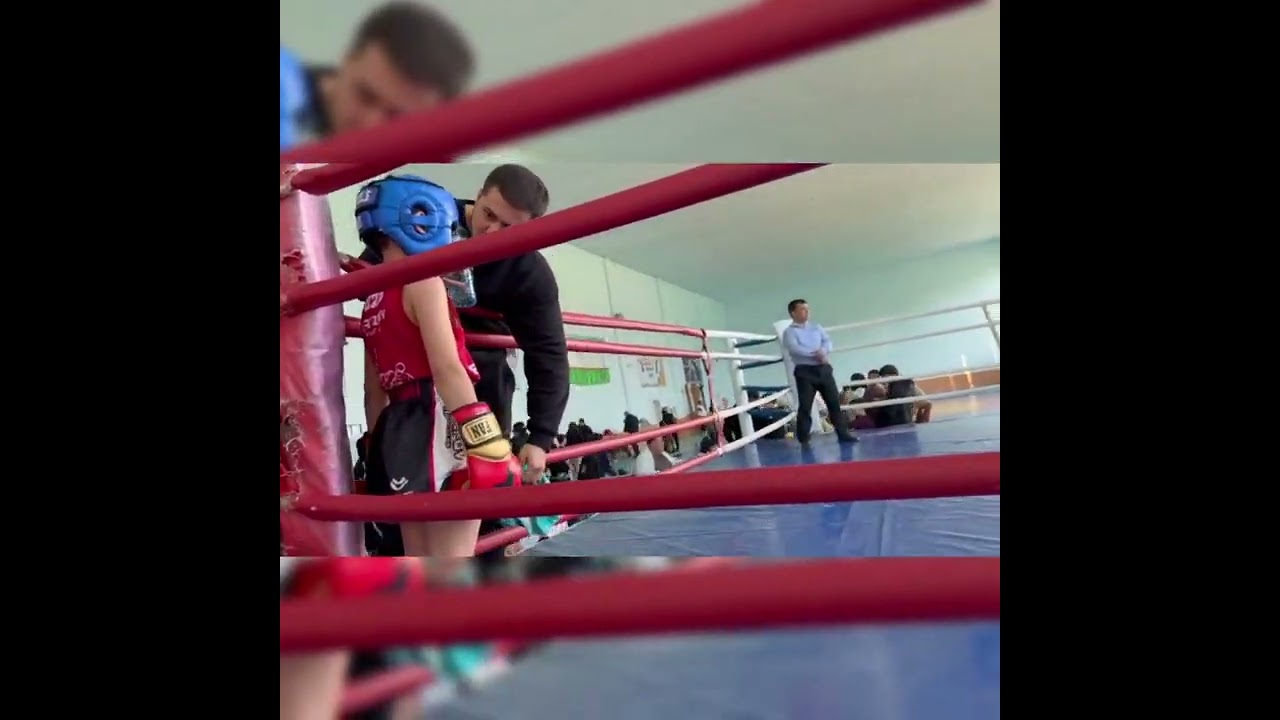 Boisov Ali, Muaythai, Musobaqa 03.02.2026