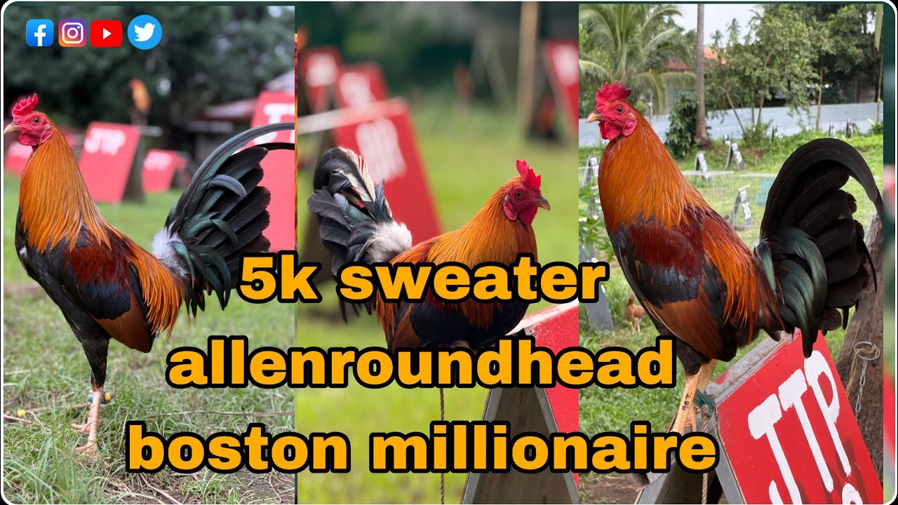 BOSTON MILLIONAIRE AT ALLEN ROUNDHEAD NI JTP GF 