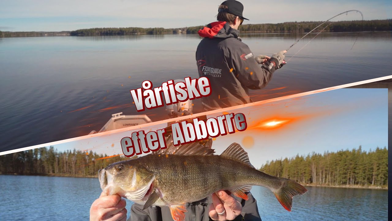 Vårfiske efter Abborre - letar nya spots