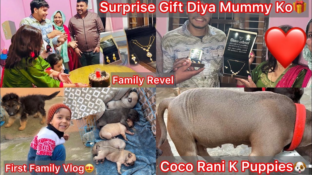Surprise Gift Diya Mummy Ko 25th Anniversary Par🎁Family Revel❤️First Family Vlog || Coco K Puppies🐶