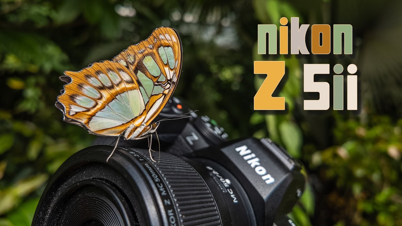 Jak se fotí s novým Nikonem Z 5II?