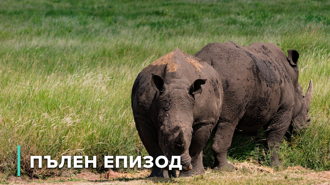 Живот в Ватерберг и кратера Вредефорт | Дивите пейзажи на Африка 101+102
