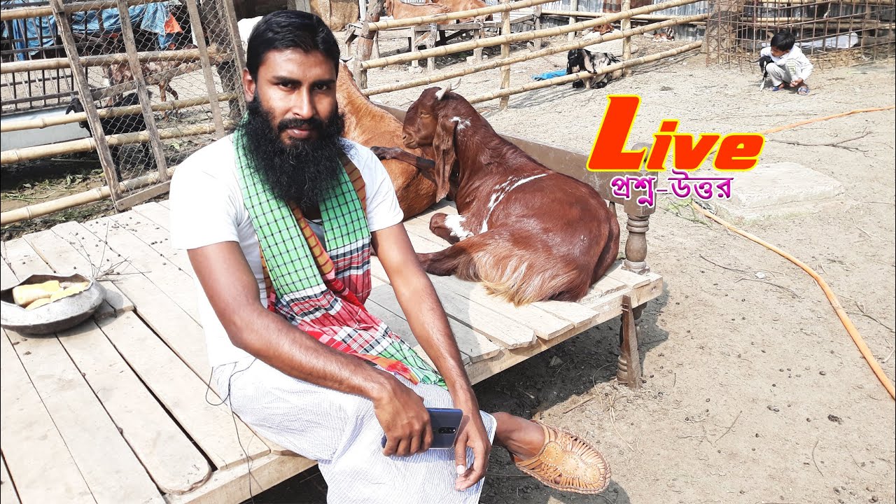 ছাগল পালনে ৯ বছরের অভিজ্ঞতা দিয়ে চাষী মানিক শেয়ার করলেন তার সেরা টিপস