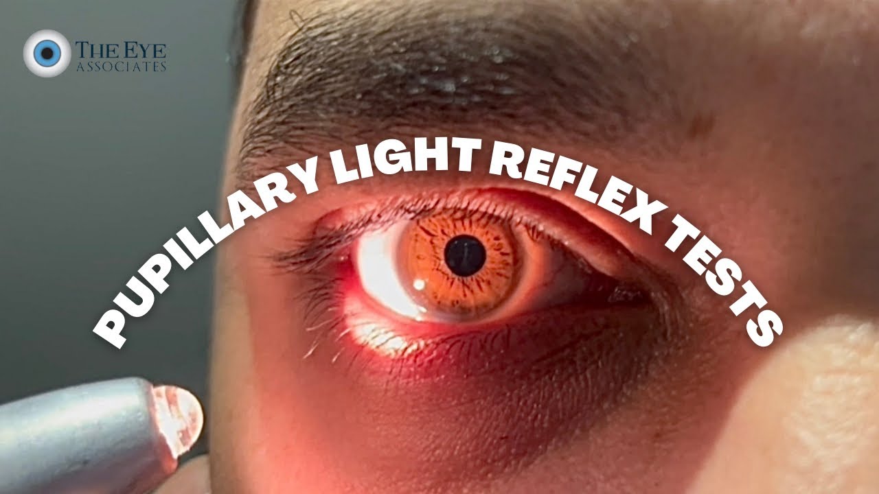 Pupillary Light Reflex Tests