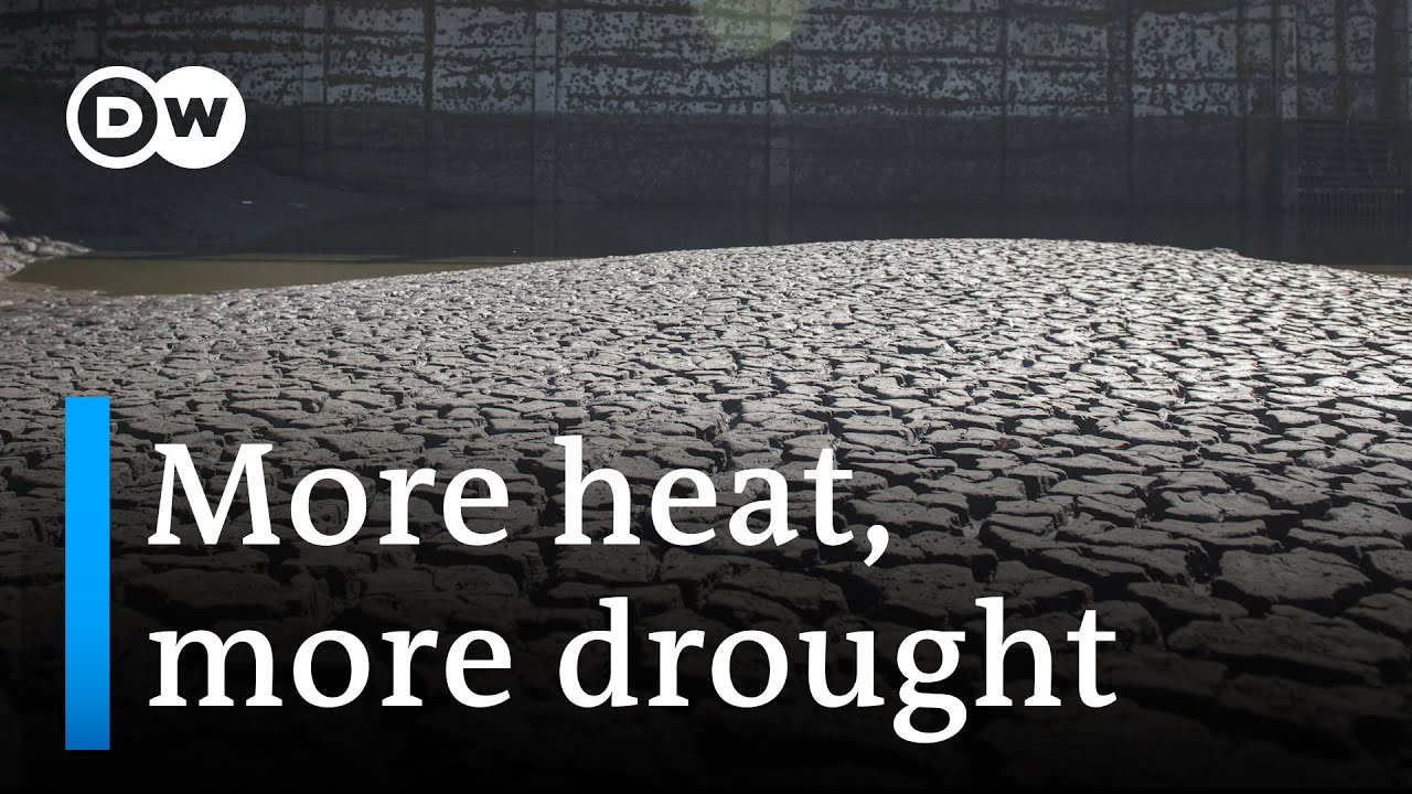 Report: One in four people globally face extreme water scarcity I DW News