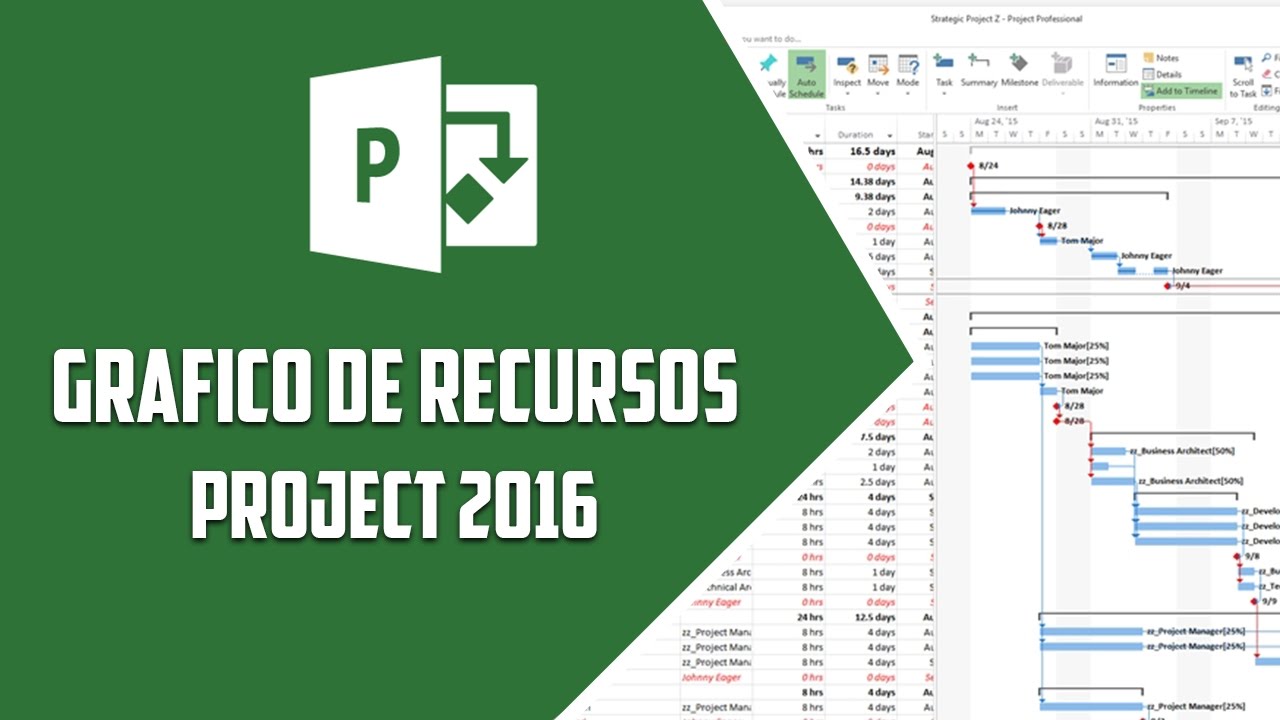 Project 2016 –  Grafico de recursos - Video 14