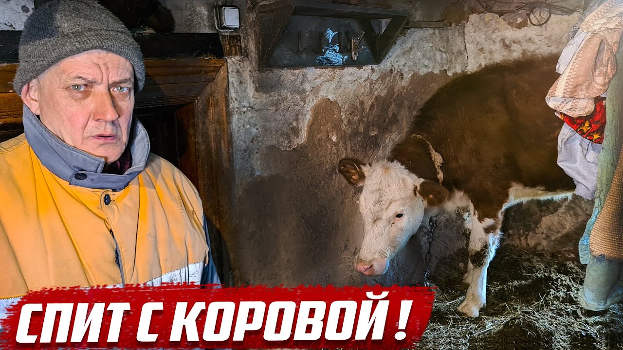 Осторожно! Может стошнить от увиденного! | Оренбургская обл, Асекеевский район, с.Заглядино