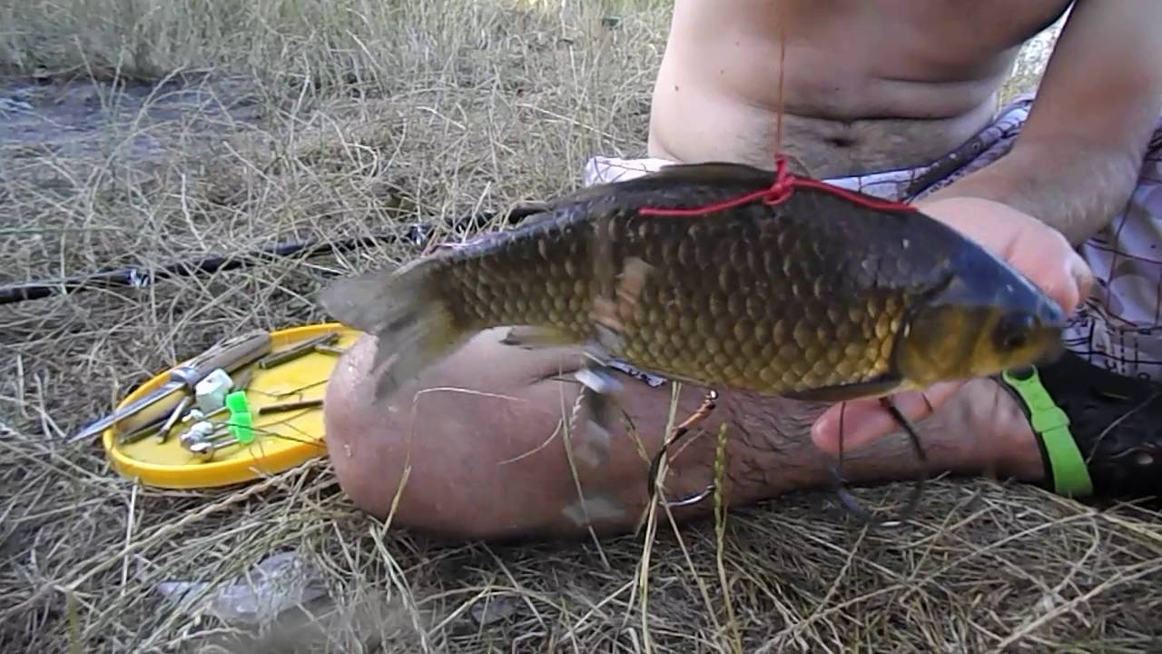 Koncová montáž na lov sumcov