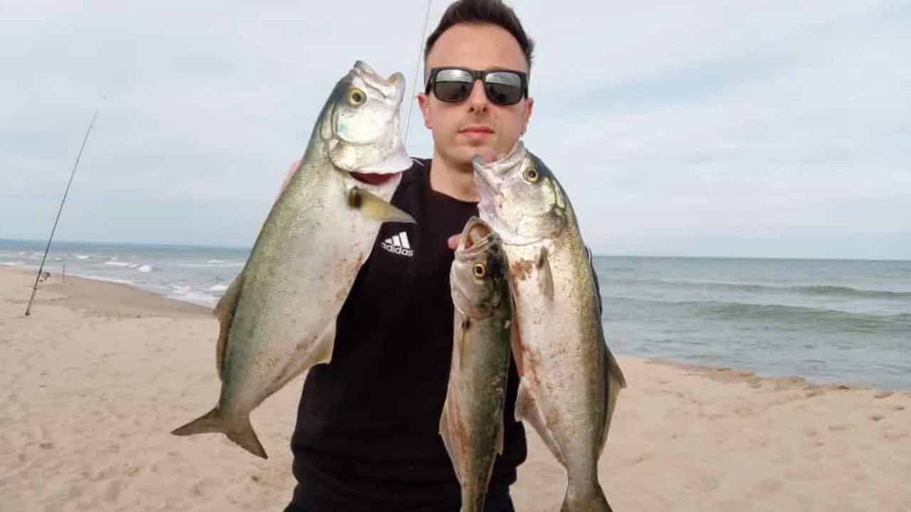 Pesce Serra di giorno. Catture e consigli!!😱