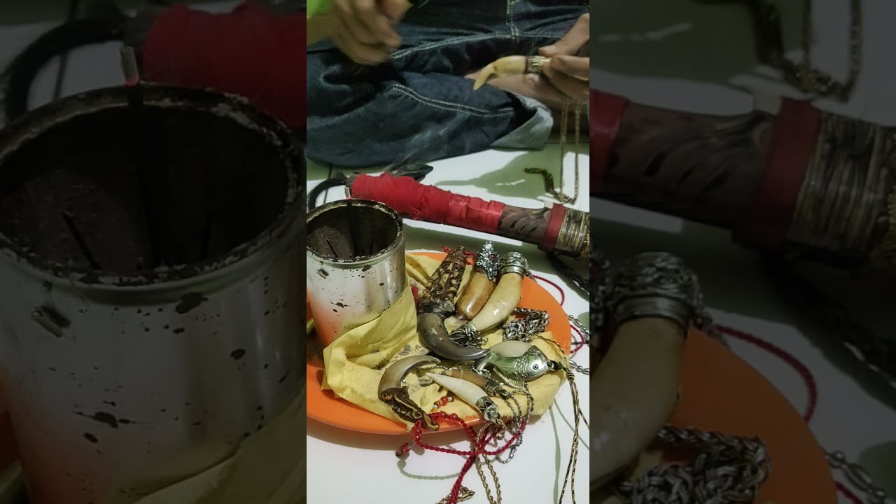 Tes Energi Natural Taring Harimau ngurak tanpa was wes woss trlbh dahulu 👍🏻