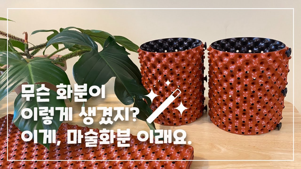 마술화분에 식물을 심어봤어요. 슬릿화분 보다 통기성 좋은 화분! #필로덴드론분갈이 #에어포트화분 #루트플러스 #마술화분