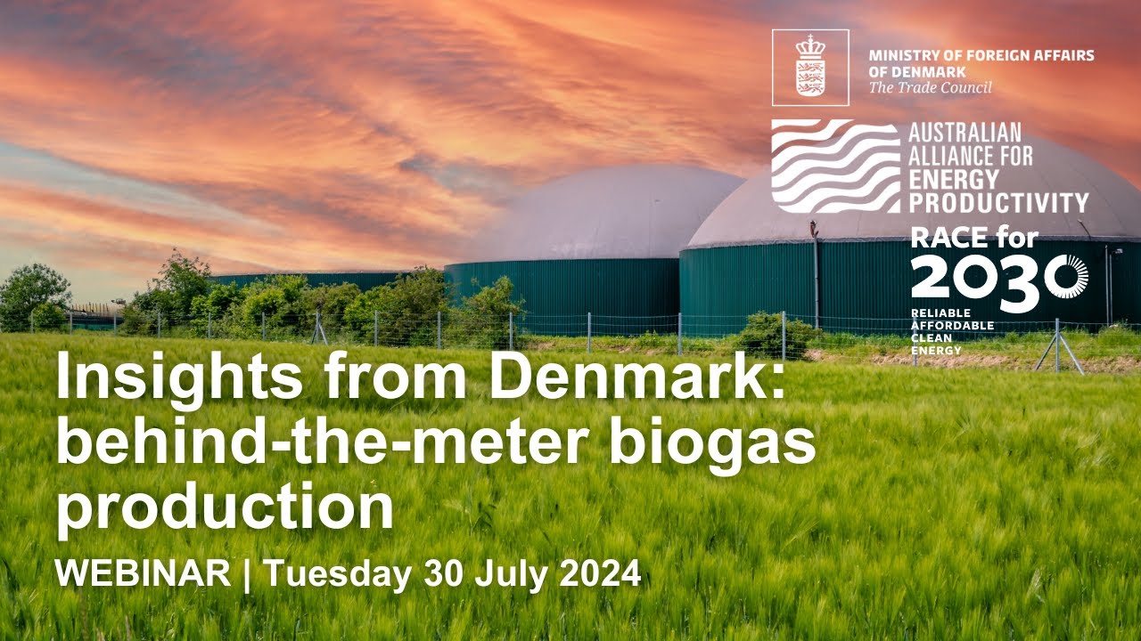 Insights from Denmark: behind-the-meter biogas production for industrial use