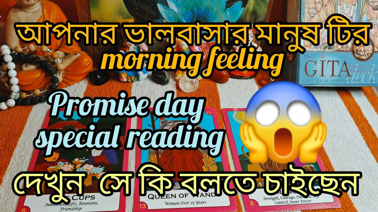 11 February আপনার ভালবাসার মানুষ টির morning feeling #tarot #lovetarot #tarotreader #feelingstarot 