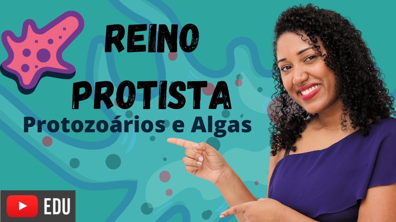 Aula Reino Protista (protozo&aacute;rios e algas)